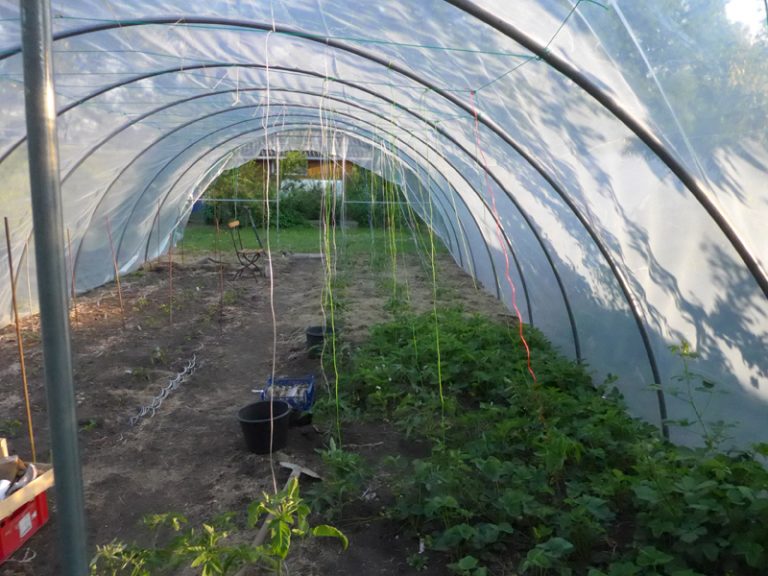 Wertanlage Folientunnel Ich bin dann mal im Garten