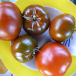 Teller mit fünf rot-braunen Fleischtomaten