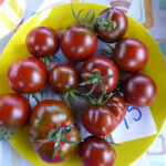 gelg gerandeter, weißer Teller mit braun-roten Tomaten