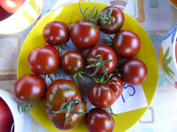 gelg gerandeter, weißer Teller mit braun-roten Tomaten