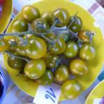 Teller mit gel-grünen Tomaten