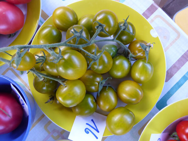 Teller mit gel-grünen Tomaten