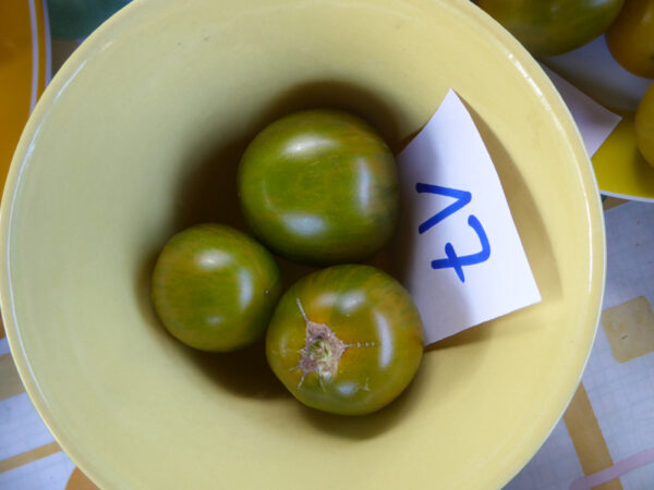 drei grün-gelb gestreifte Tomaten in gelbem Schüsselchen