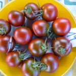 dunkel-gelb gerandeter, weißer Teller mit braun-roten Tomaten