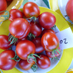 rote Tomate (F2-Hybride)