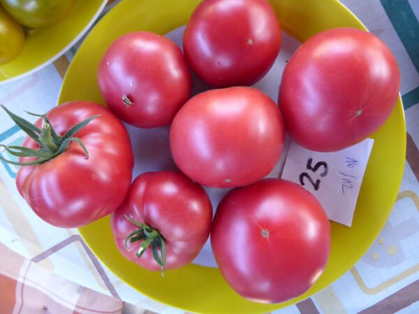 gelb gerandeter, weißer Teller mit rosa Tomaten