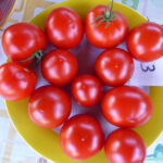 Teller mit roten Tomaten