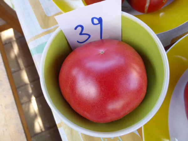 Rosa Fleischtomate in kleiner Schüssel