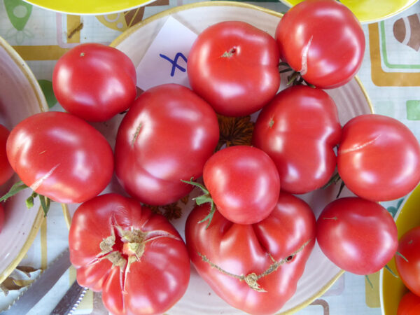 Teller mit rosa Tomaten