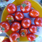 dunkel-gelb gerandteter, weißwe Teller mit roten Tomaten