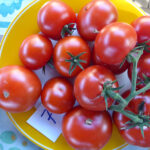 gelber Teller mit roten Tomaten