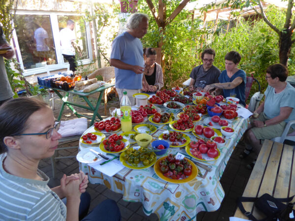 Tisch mit Tellern voller verschieden-farbiger Tomaten, umgeben von vier Personen