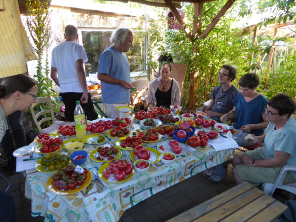 Vier Personen um einen Tisch, auf dem viele Teller mit farbigen Tomaten stehen