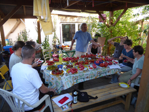 mehrere Personen um einen Tisch, auf dem viele Teller mit roten, braunen, rosa und grünen Tomaten stehen